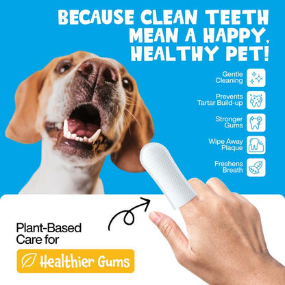 Lumi Dental Wipes