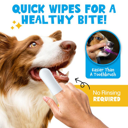 Lumi Dental Wipes