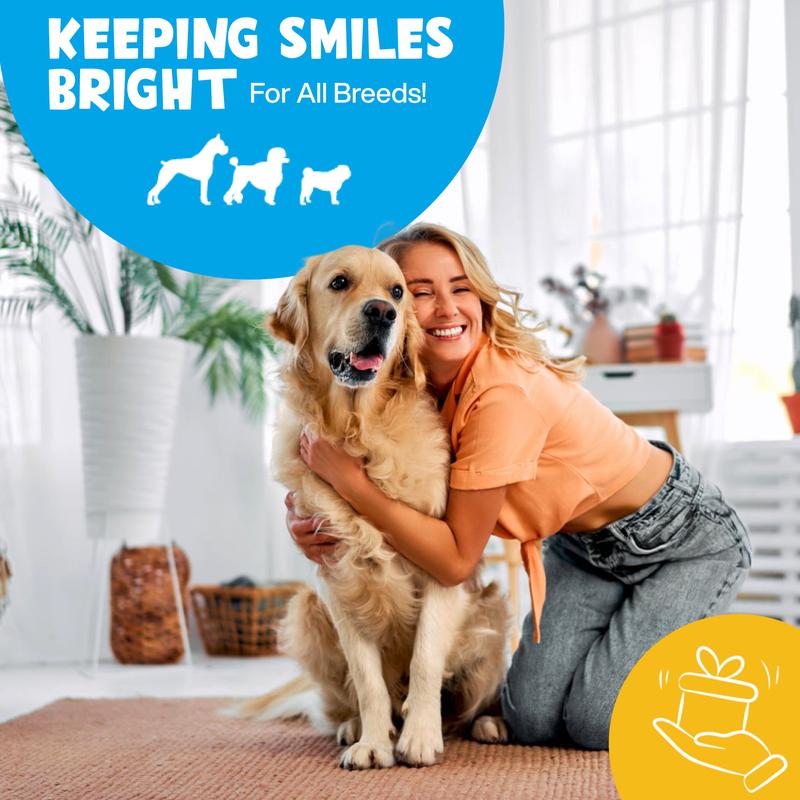Lumi Dental Wipes