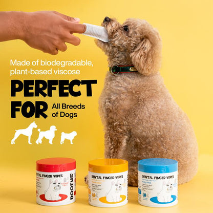 Lumi Dental Wipes